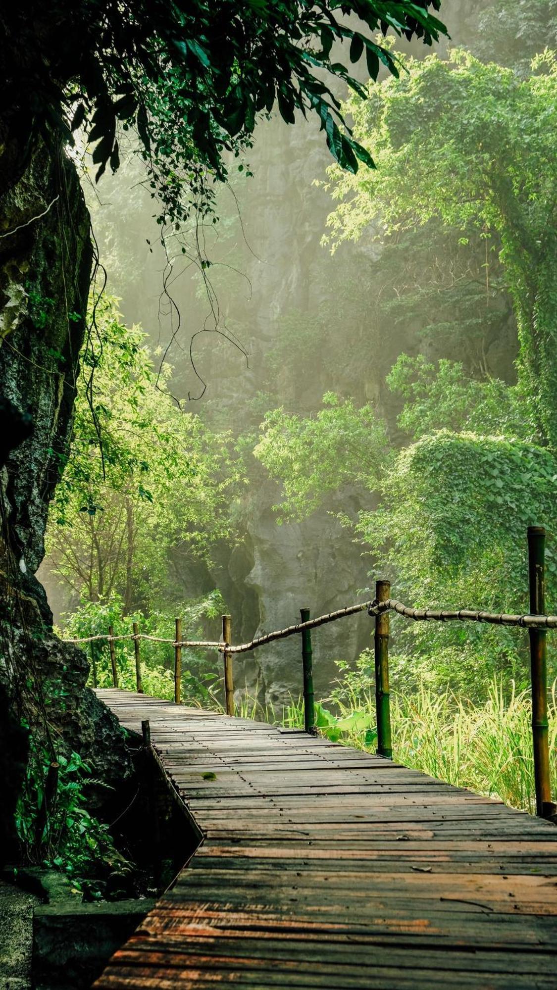 Chez Beo Ở trọ *