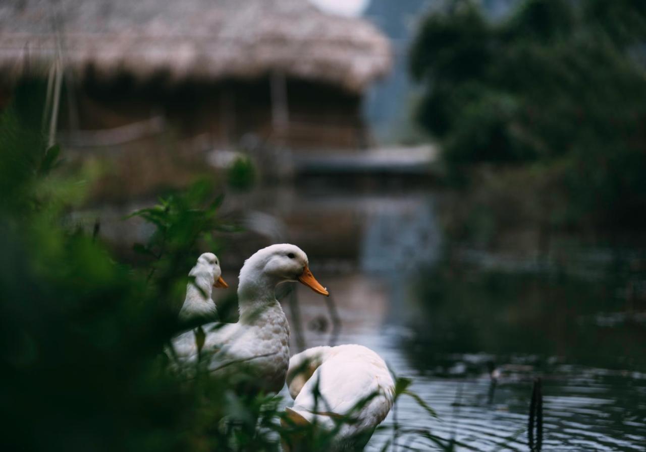 Ở trọ Chez Beo Ninh Bình
